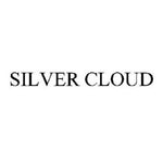 Load image into Gallery viewer, SILVER CLOUD 100 SILVER BX
