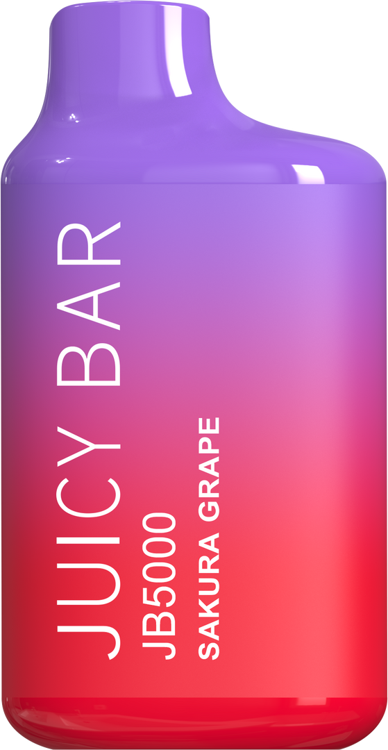 Juicy Bar JB5000 Disposable Vape - 10ct | 1 Box