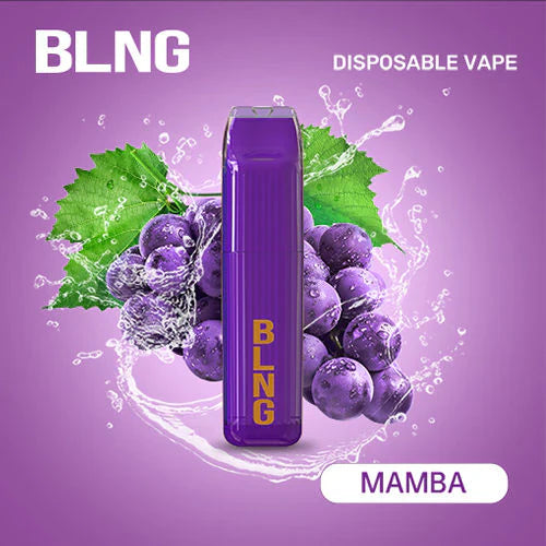 BLNG DISPOSABLE VAPE 3300 PUFFS THE ART OF VAPE