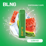 Load image into Gallery viewer, BLNG DISPOSABLE VAPE 3300 PUFFS THE ART OF VAPE
