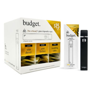 Budget-Ready For Use- Disposable (Variety Pack)-1 Gram-- 30ct | 1 Box