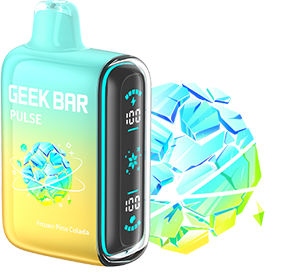 Geek Bar Pulse 15000 Puff Disposable Vape- 5ct | 1 Box