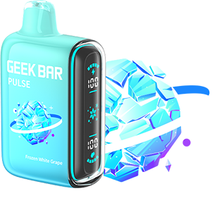 Geek Bar Pulse 15000 Puff Disposable Vape- 5ct | 1 Box