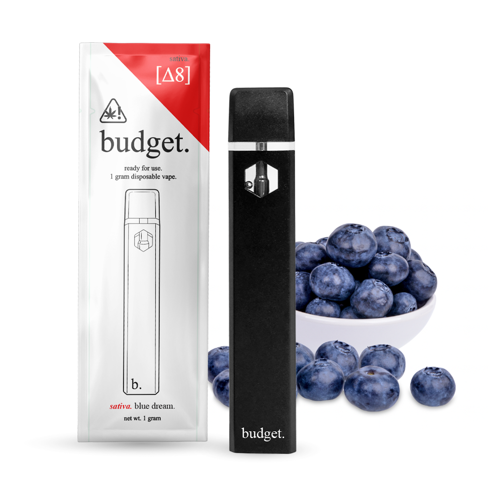 Budget-Ready For Use--1 Gram Delta-8- Disposable Vape- 10ct | 1 Box