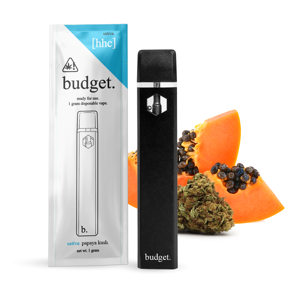 Budget-Ready For Use--1 Gram-HCC- Disposable Vape- 10ct | 1 Box