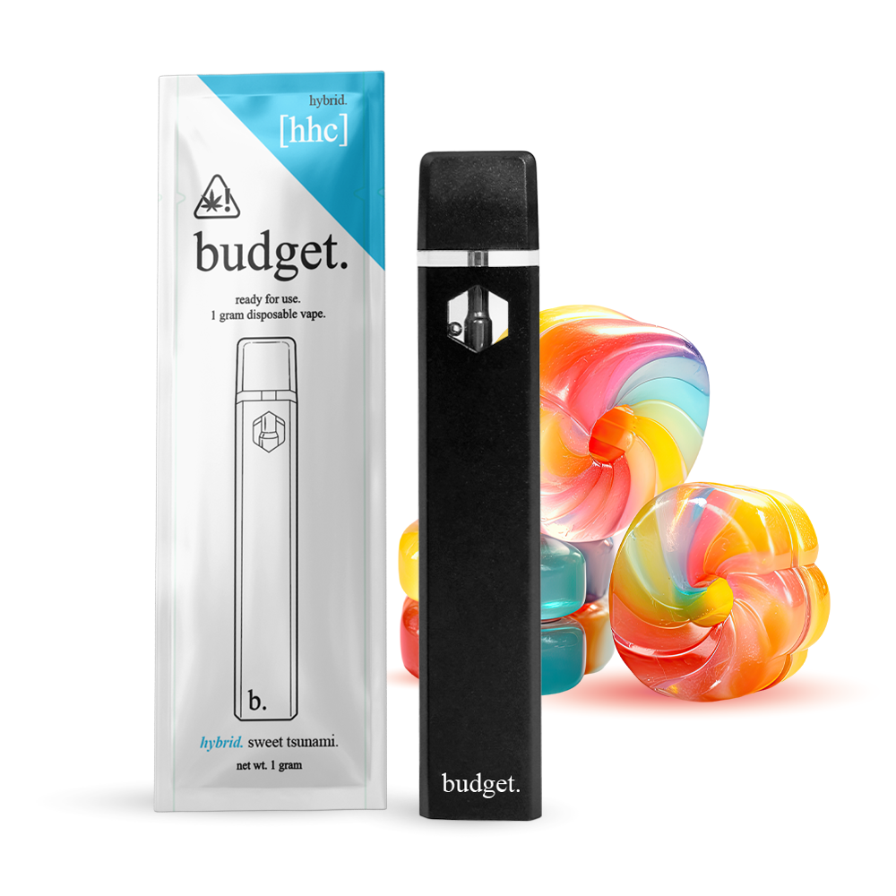 Budget-Ready For Use--1 Gram-HCC- Disposable Vape- 10ct | 1 Box