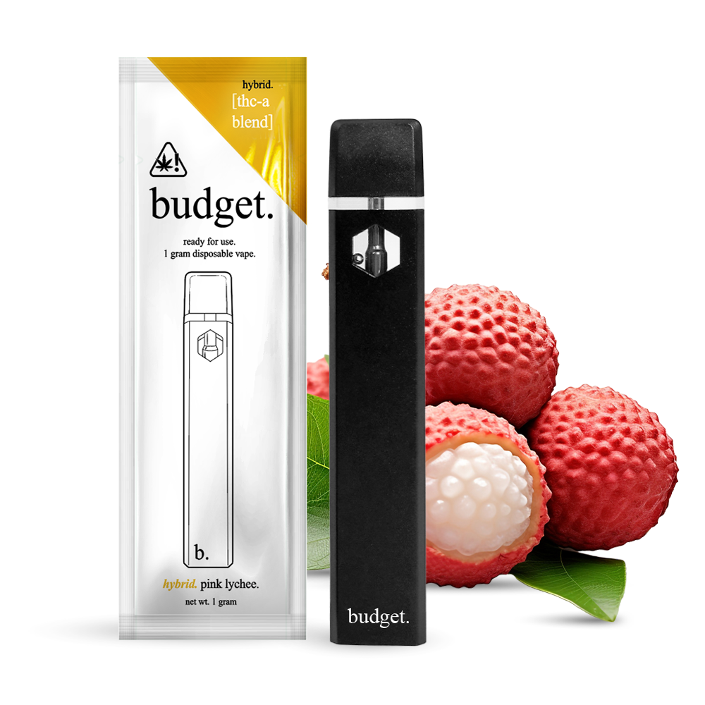 Budget-Ready For Use--1 Gram-THCA- Disposable Vape- 10ct | 1 Box