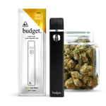 Load image into Gallery viewer, Budget-Ready For Use--1 Gram-THCA- Disposable Vape- 10ct | 1 Box
