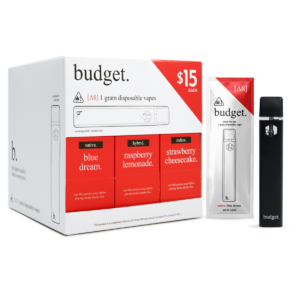 Budget-Ready For Use- Disposable (Variety Pack)-1 Gram-- 30ct | 1 Box